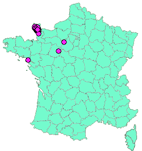 Localisation Geocaches placées par un Geocacheur