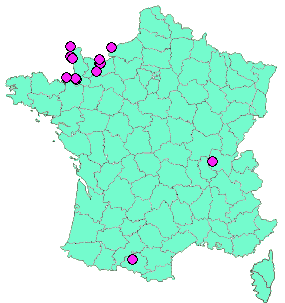 Localisation Geocaches placées par un Geocacheur