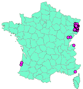 Localisation Geocaches placées par un Geocacheur