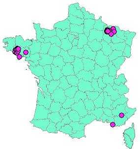 Localisation Geocaches placées par un Geocacheur