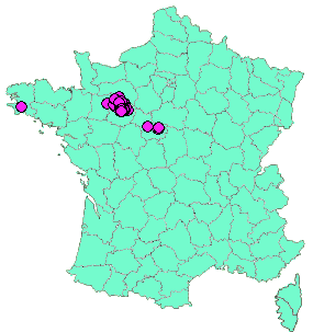 Localisation Geocaches placées par un Geocacheur