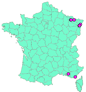 Localisation Geocaches placées par un Geocacheur