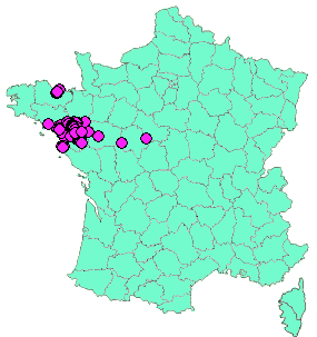 Localisation Geocaches placées par un Geocacheur