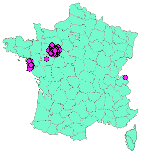 Localisation Geocaches placées par un Geocacheur