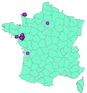 Localisation Geocaches placées par un Geocacheur