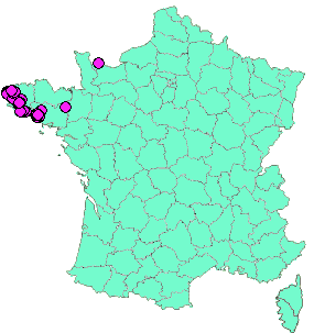 Localisation Geocaches placées par un Geocacheur