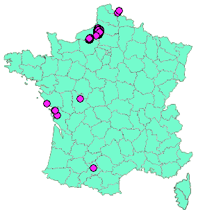 Localisation Geocaches placées par un Geocacheur