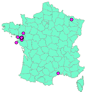 Localisation Geocaches placées par un Geocacheur