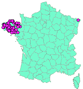 Localisation Geocaches placées par un Geocacheur