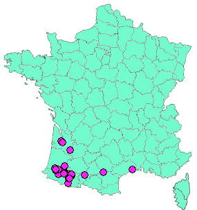 Localisation Geocaches placées par un Geocacheur