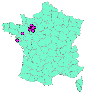 Localisation Geocaches placées par un Geocacheur