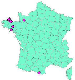 Localisation Geocaches placées par un Geocacheur