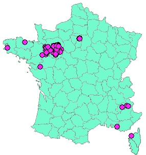 Localisation Geocaches placées par un Geocacheur