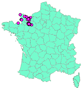 Localisation Geocaches placées par un Geocacheur