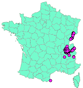 Localisation Geocaches placées par un Geocacheur