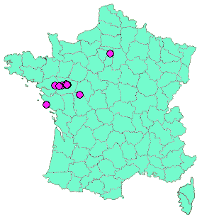 Localisation Geocaches placées par un Geocacheur