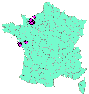 Localisation Geocaches placées par un Geocacheur