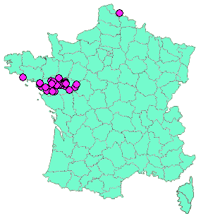 Localisation Geocaches placées par un Geocacheur