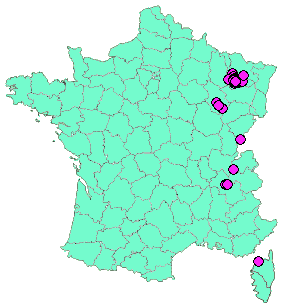 Localisation Geocaches placées par un Geocacheur