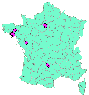 Localisation Geocaches placées par un Geocacheur