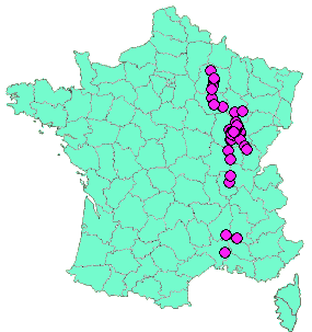 Localisation Geocaches placées par un Geocacheur