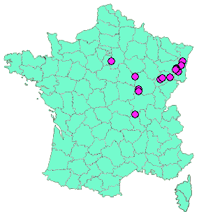 Localisation Geocaches placées par un Geocacheur