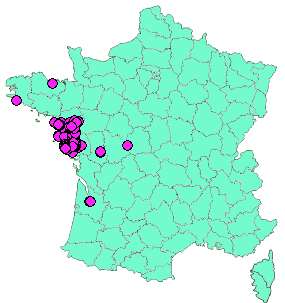 Localisation Geocaches placées par un Geocacheur