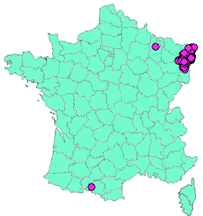 Localisation Geocaches placées par un Geocacheur