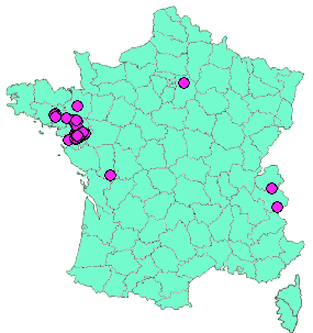 Localisation Geocaches placées par un Geocacheur