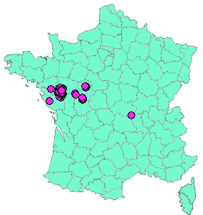 Localisation Geocaches placées par un Geocacheur