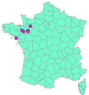 Localisation Geocaches placées par un Geocacheur