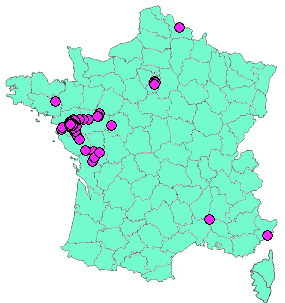 Localisation Geocaches placées par un Geocacheur