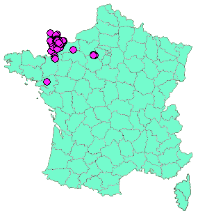 Localisation Geocaches placées par un Geocacheur