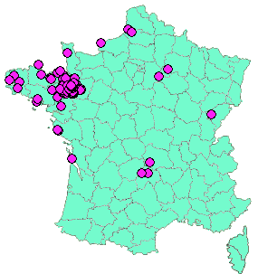 Localisation Geocaches placées par un Geocacheur