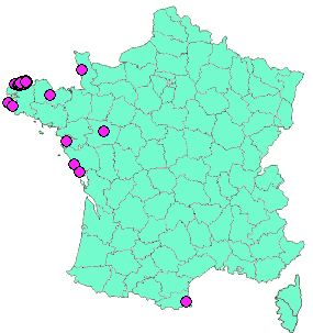 Localisation Geocaches placées par un Geocacheur