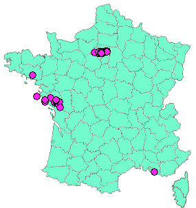 Localisation Geocaches placées par un Geocacheur