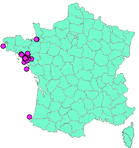 Localisation Geocaches placées par un Geocacheur