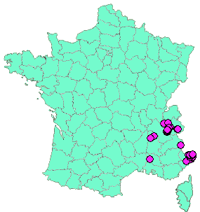 Localisation Geocaches placées par un Geocacheur