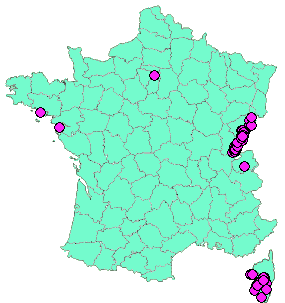 Localisation Geocaches placées par un Geocacheur