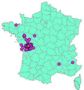 Localisation Geocaches placées par un Geocacheur