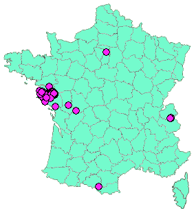 Localisation Geocaches placées par un Geocacheur