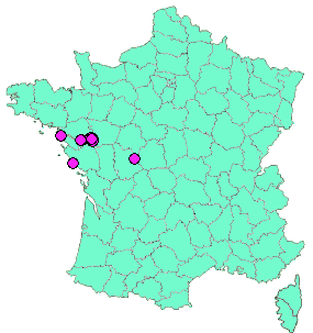 Localisation Geocaches placées par un Geocacheur