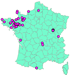 Localisation Geocaches placées par un Geocacheur