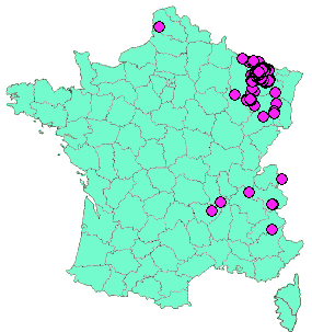 Localisation Geocaches placées par un Geocacheur