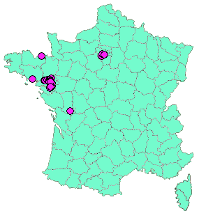 Localisation Geocaches placées par un Geocacheur