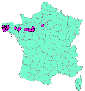 Localisation Geocaches placées par un Geocacheur